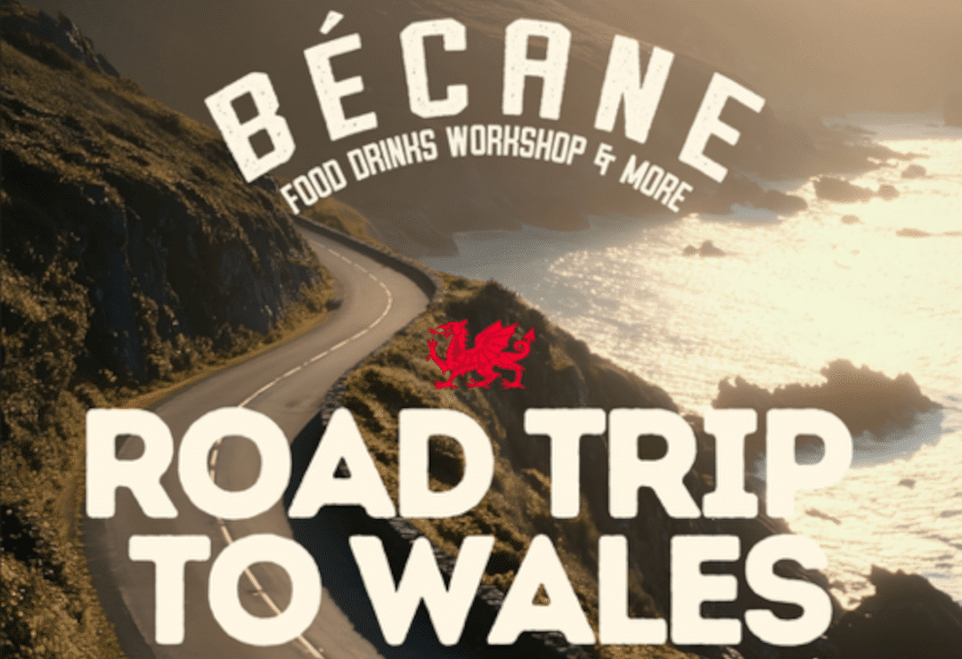 paysage-nouvelle-zelande