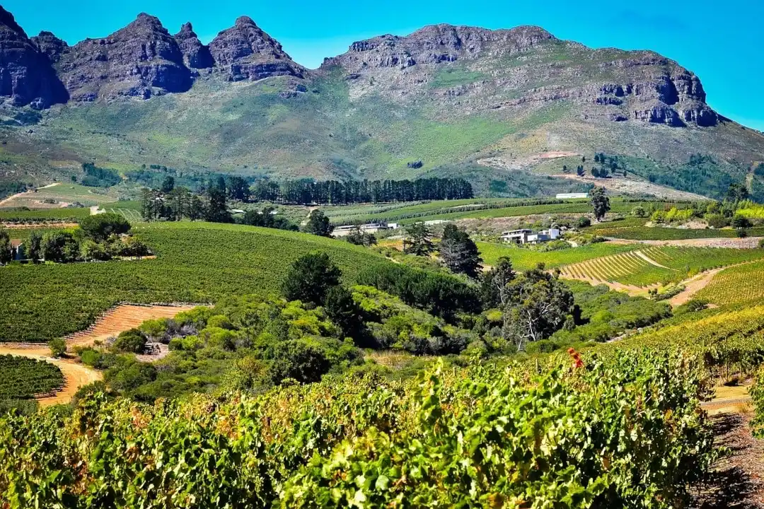 paysage de montagnes vers Stellenbosch
