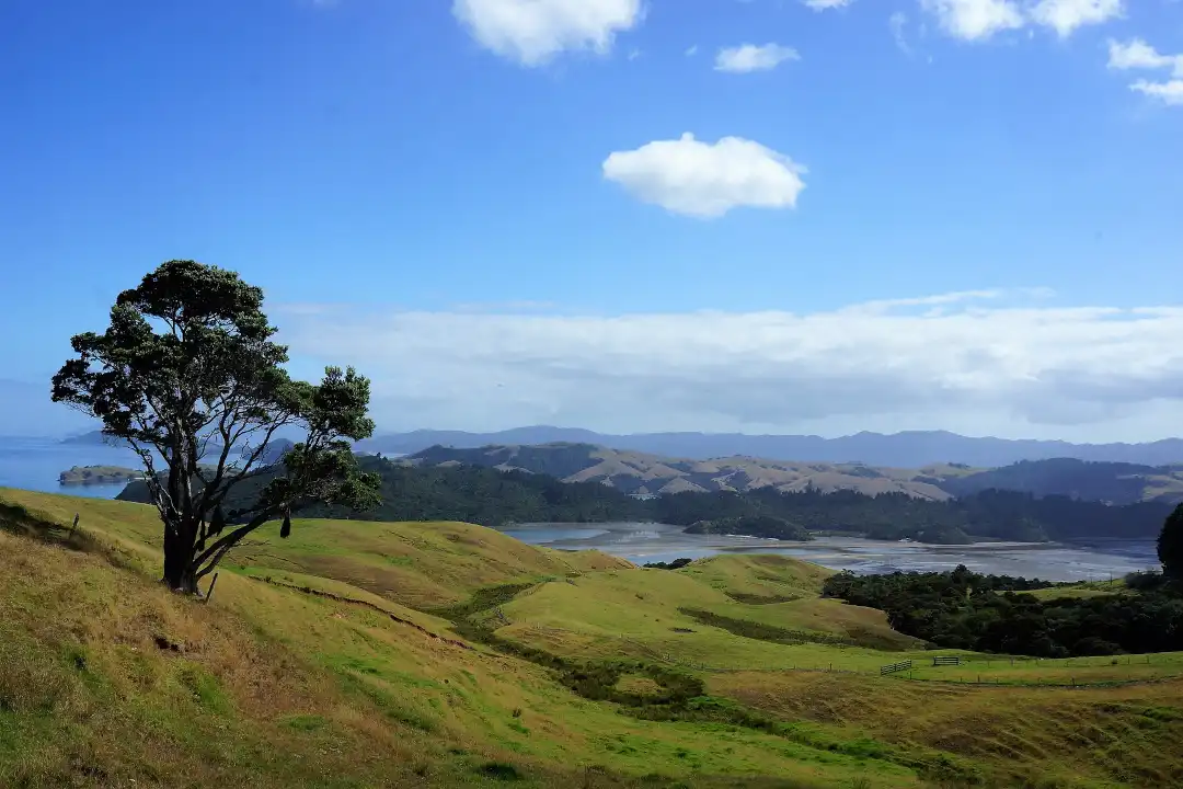 paysage de la presqu'île de Coromandel en Nouvelle-Zélande