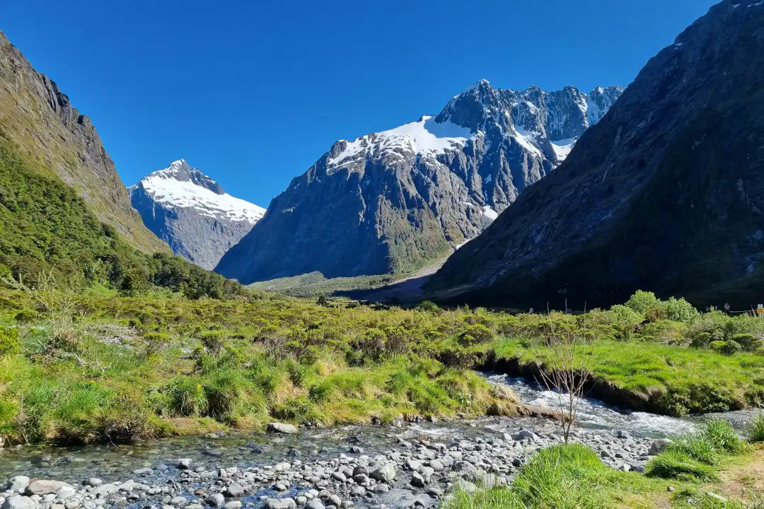 Sur la route vers Milford Sound